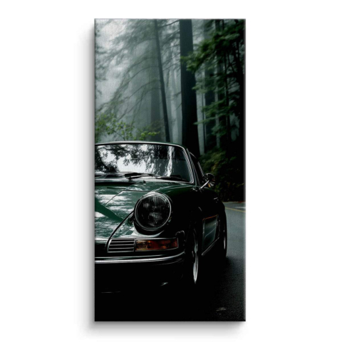 Stille Geschwindigkeit Leinwandbild