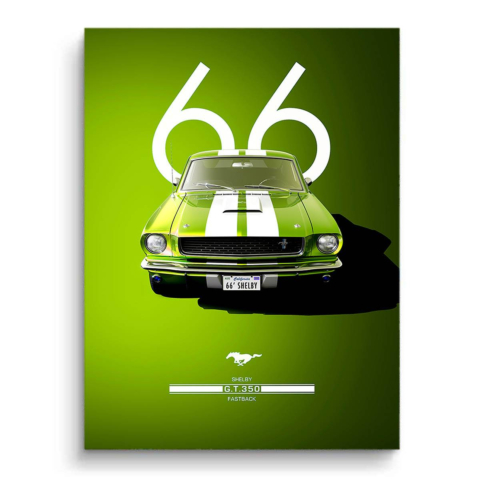 Shelby Mustang PVC Matt Art
