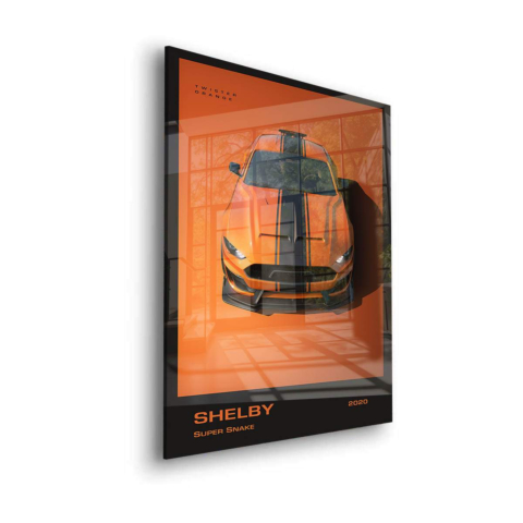 Super Schlange Acrylglas
