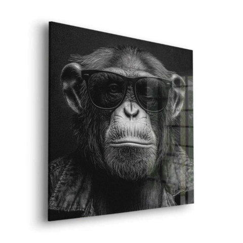 Affe mit Sonnenbrille Acrylglasbild