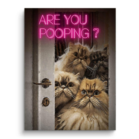 Question sur les Crottes de Chat Toile