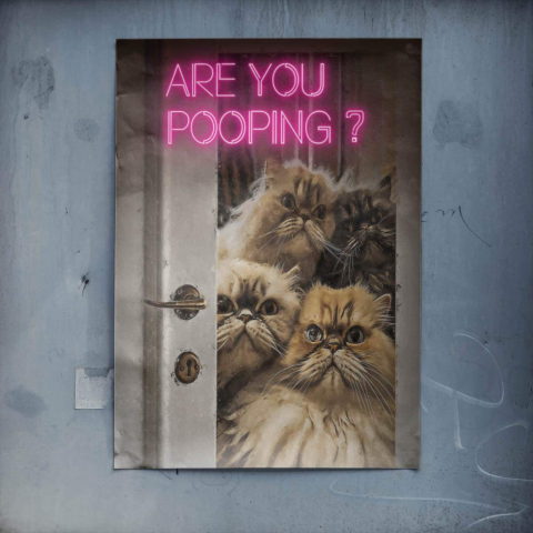 Pregunta sobre la caca de gato Póster