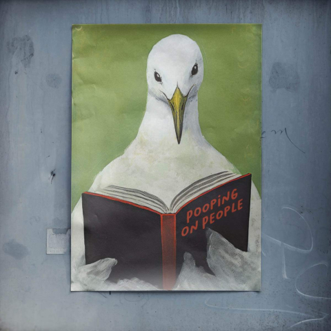 Pájaro Lector Póster
