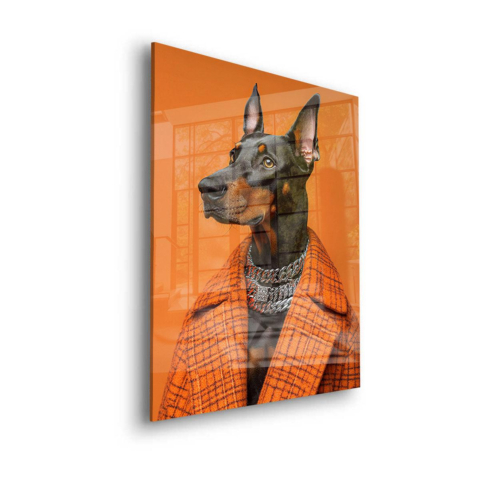 Portret Szykownego Dobermana Szkło Akrylowe
