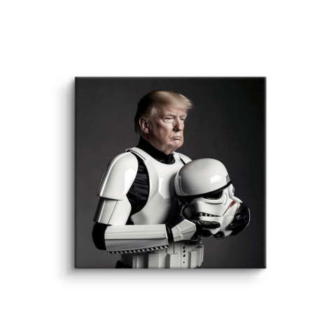 Stormtrooper Standoff PVC Mat Art