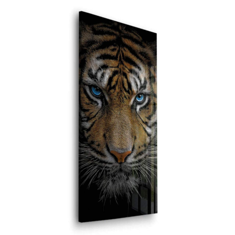 Fierce Blue Eyes Acrylic Glass Art