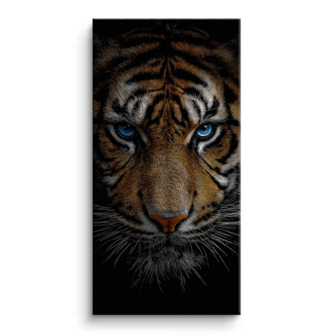 Fierce Blue Eyes Canvas Art
