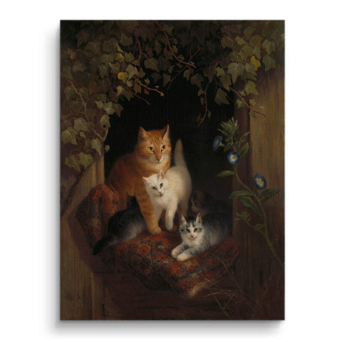 Katzen und Morgenlicht Leinwandbild