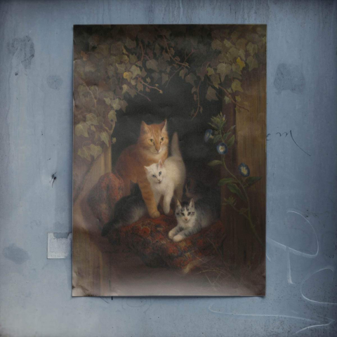 Katzen und Morgenlicht Poster