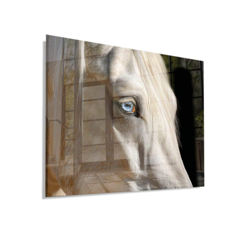 Caballo de ojos azules Vidrio Acrílico