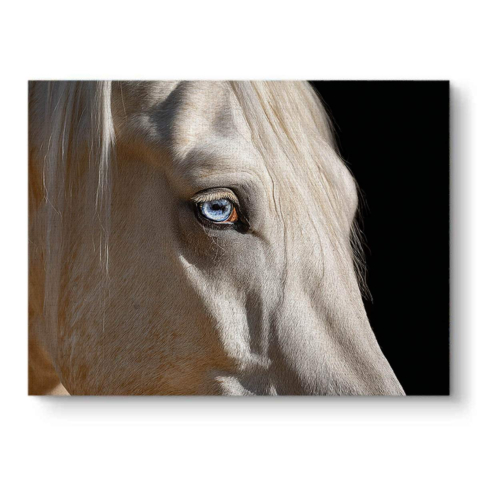 Caballo de ojos azules Lienzo