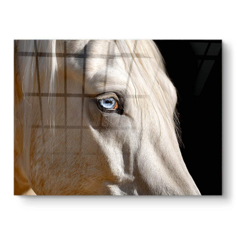 Blue-Eyed Horse PVC Gloss Art