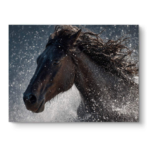 Wild Equine Splash Canvas Art