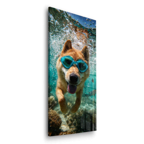 Perro Buceando Vidrio Acrílico