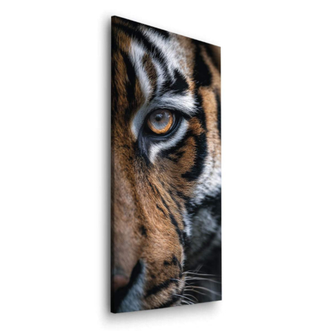 Tiger's Eye Dibond Matt Art