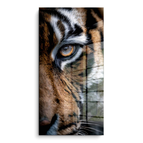Tiger's Eye PVC Gloss Art