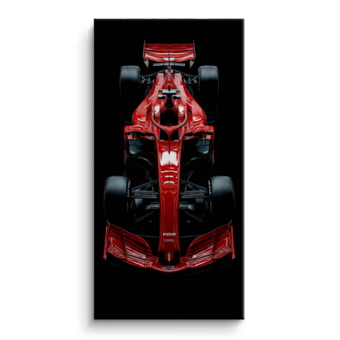 Formuła 1 Obraz na Płótnie