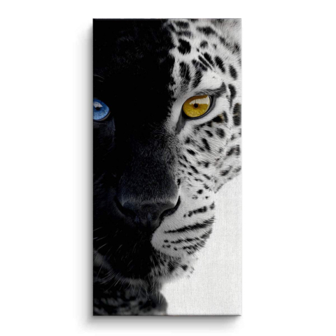 Snow Leopard Canvas Art