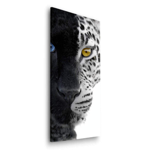 Snow Leopard Dibond Matt Art