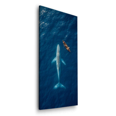 Whale Watching Dibond Matt Art