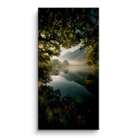 Morning Mist Canvas Art