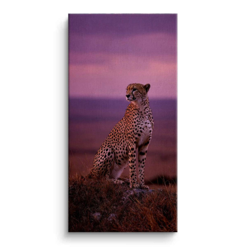 Cheetah Cuadro en Lienzo