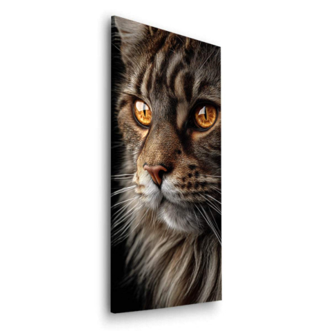 Nahaufnahme Katze Bild auf Dibond Matt