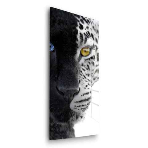 Schneeleopard Acrylglasbild