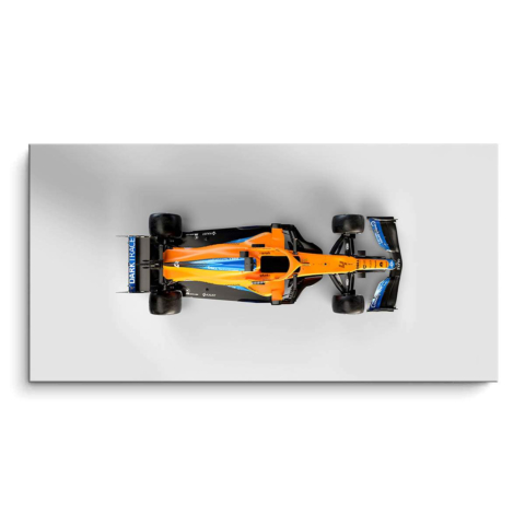 F1 Race Car PVC Matt Art