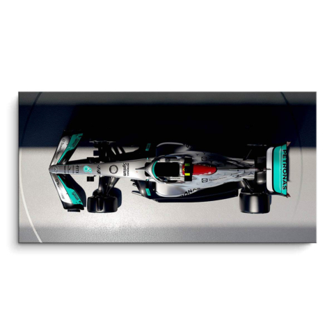 Samochód zespołu Alpine F1 PVC Matowy Obraz