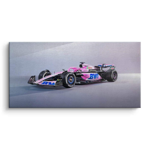 Pink Racing Car Canvas Art