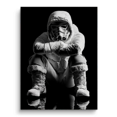 Frosted Stormtrooper Toile
