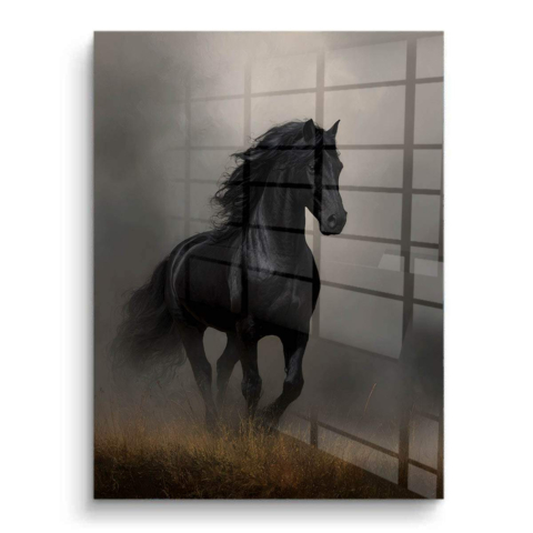 Black Stallion PVC Gloss Art
