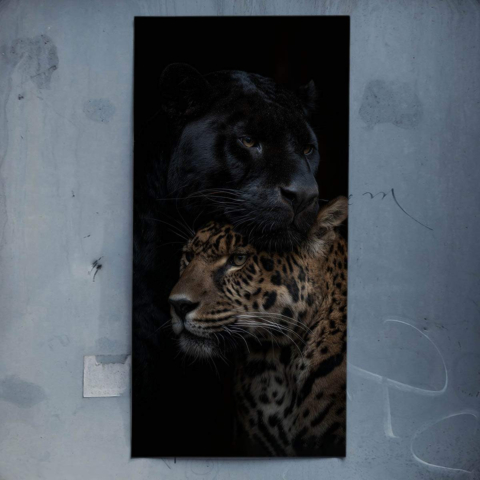 Câlin d'amour Affiche