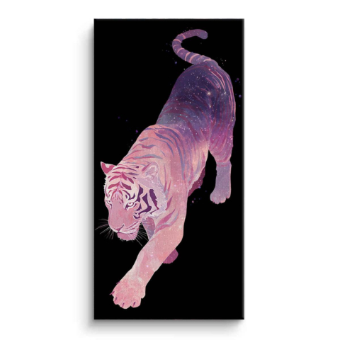 Galaxie Bengal Leinwandbild