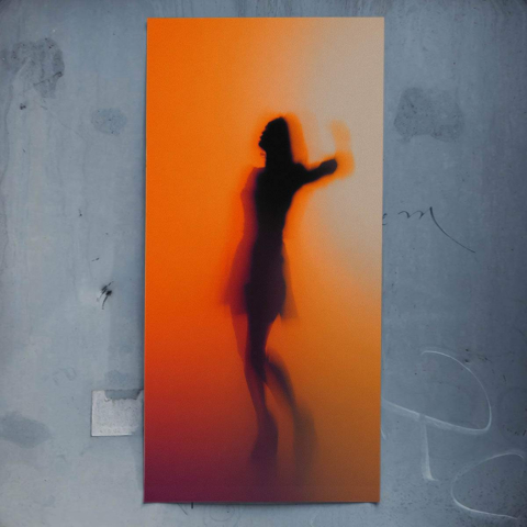 Silhouette Affiche