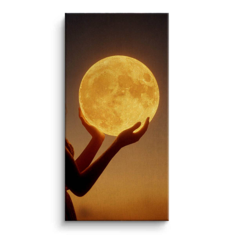 Moonlight Canvas Art