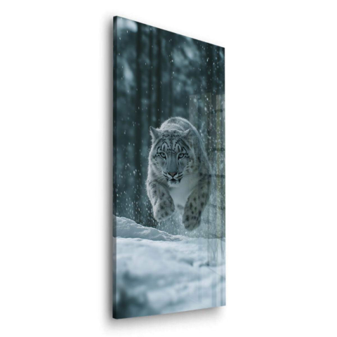 Skieur de neige Verre Acrylique