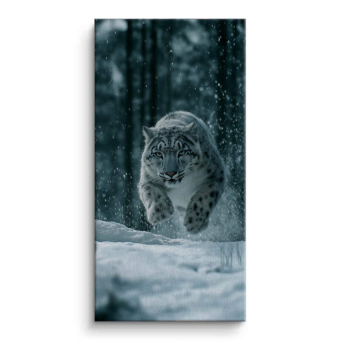Schneefahrer Leinwandbild