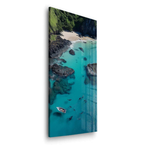 Dauphins Hawaïens Verre Acrylique