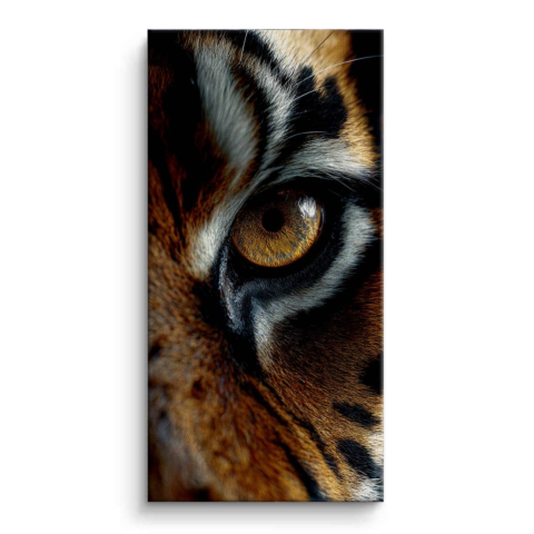 Œil de Tigre Tableau sur Toile