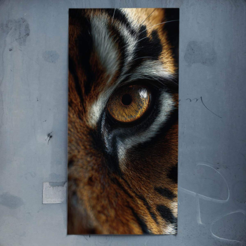Œil de Tigre Affiche