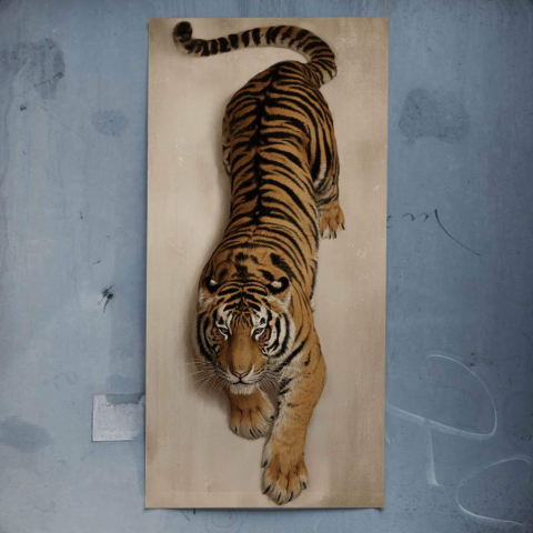 Tigre Affiche