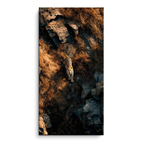 Leopard PVC Matt Art