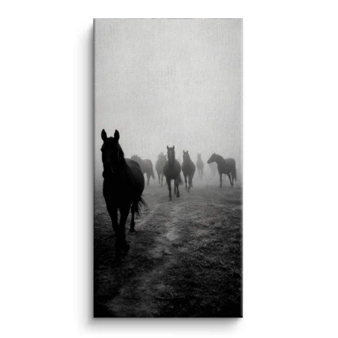 Chevaux dans le brouillard Tableau sur Toile