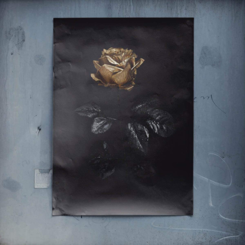 Goldene Rose Poster