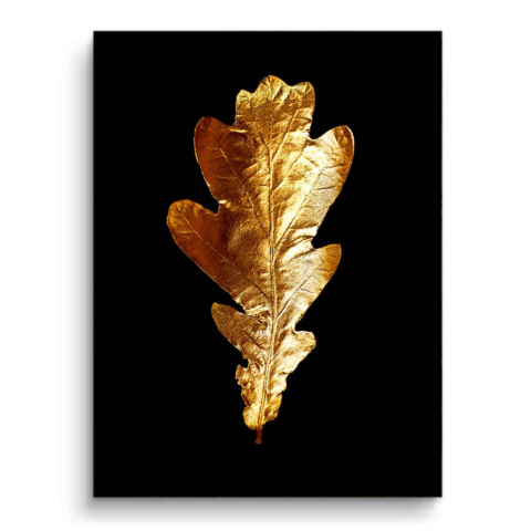 Hoja de roble dorada PVC Mate