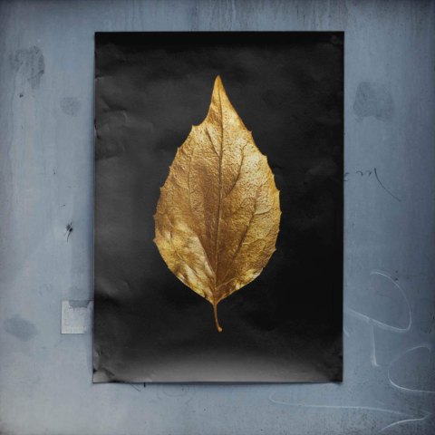 Hoja Dorada Póster