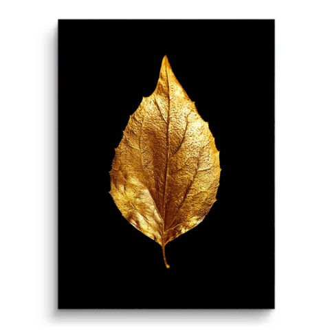 Hoja Dorada PVC Mate