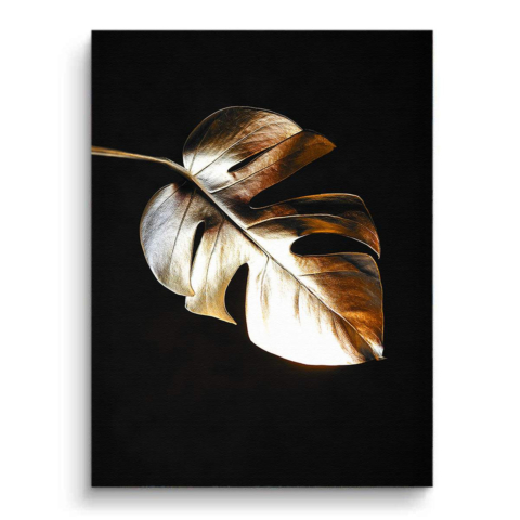Monstera Cuadro sobre Lienzo